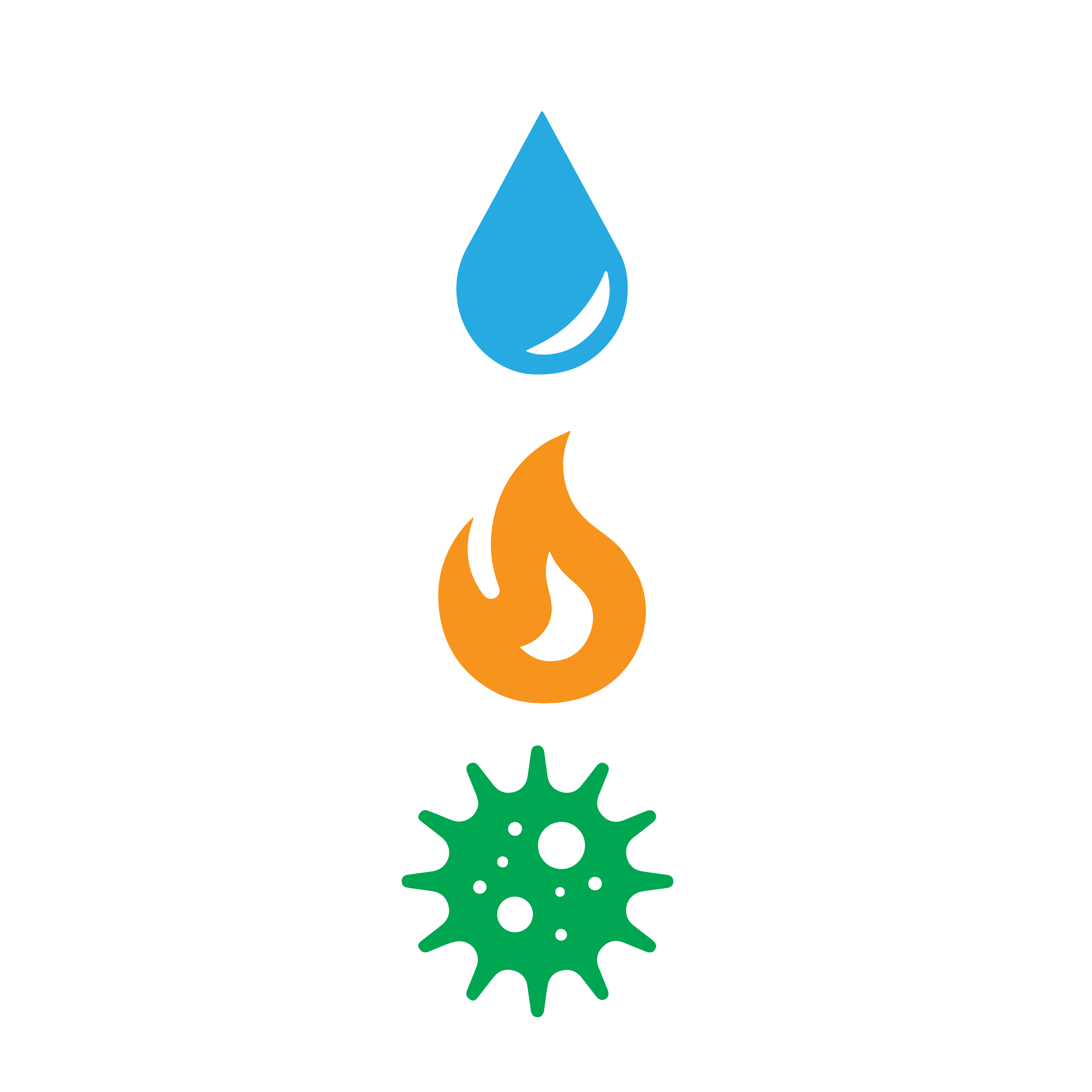 Rapid Restoration, fire damage restoration, water damage restoration, mold remediation