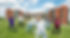 STN_0341_edited.jpg