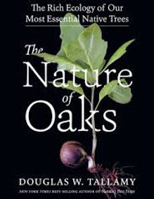oak book.jpeg