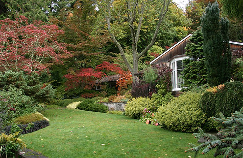 lawn-RAS-1-2012.jpg