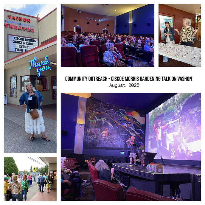 Ciscoe collage.jpg