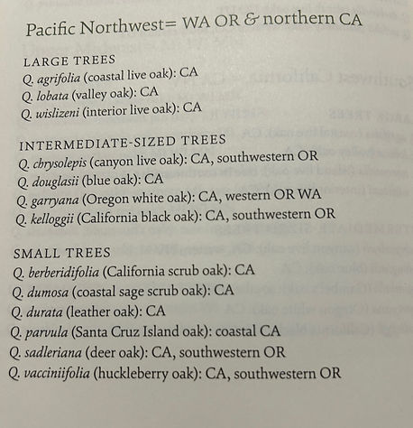 oak tree list_edited.jpg