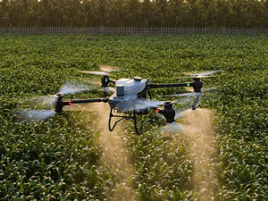 Spraying