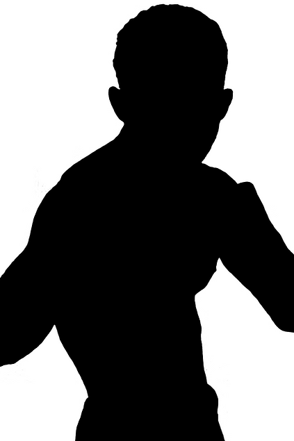 fighter silhouette_edited.png