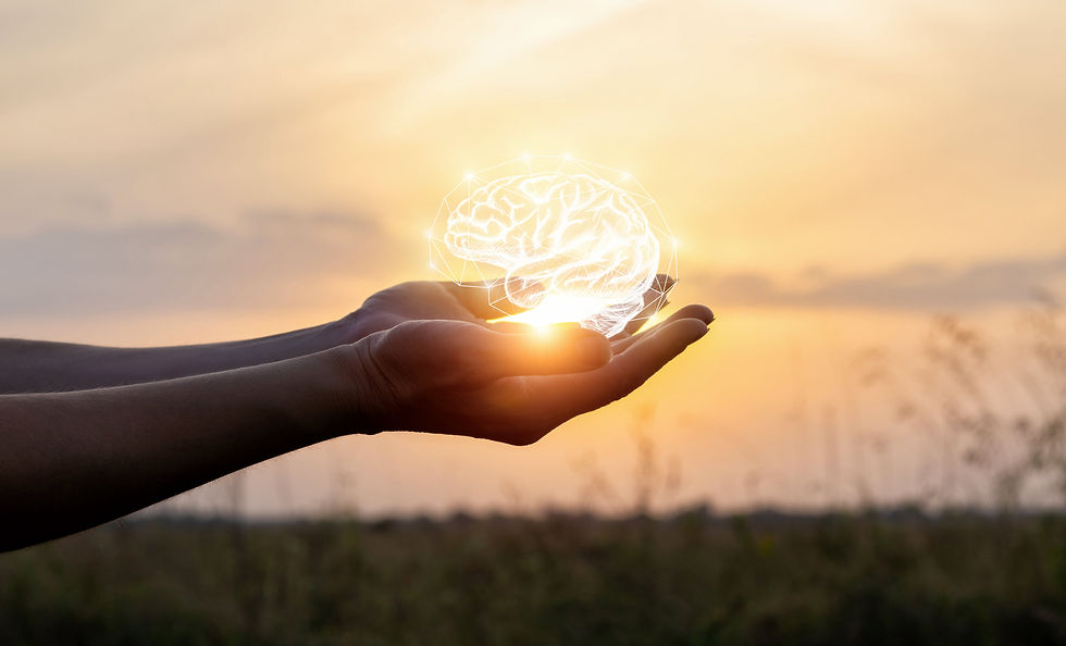 THE BRAIN