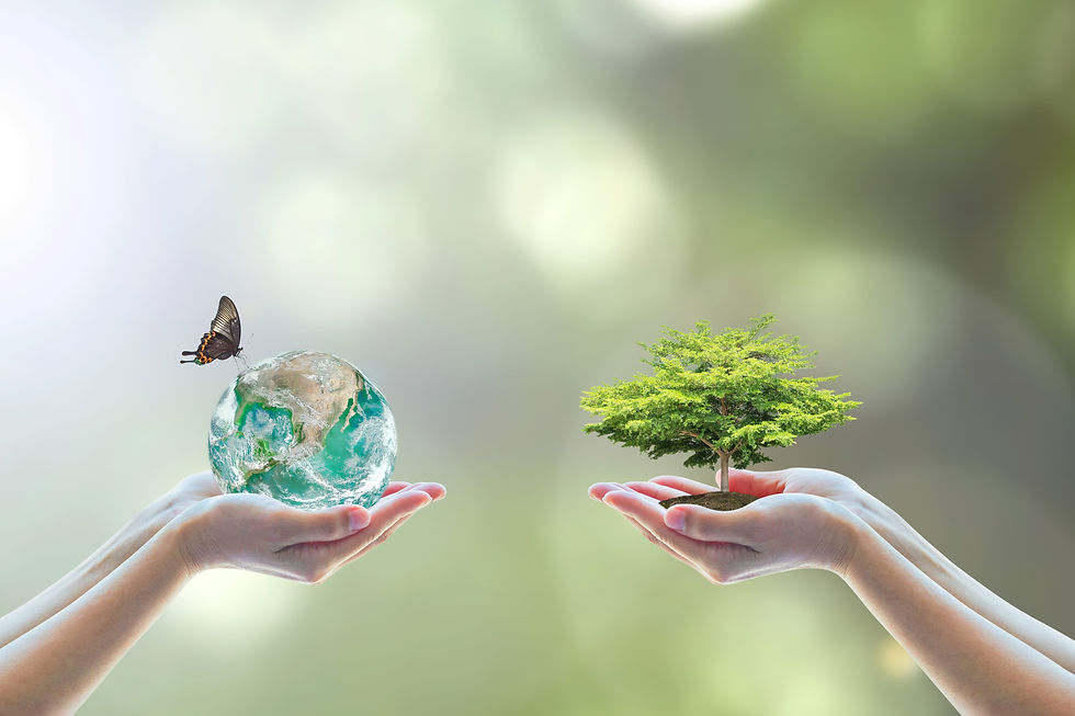 ENVIRONMENT
