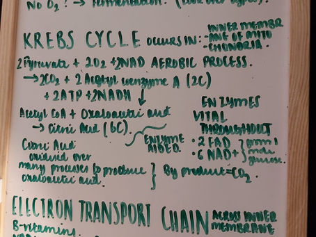 No Paper, No Worries!