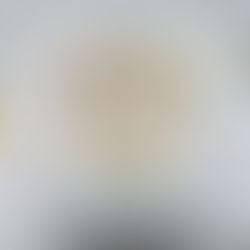 2019年出展者ご紹介　にがおえHajime