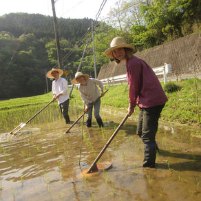 2019年出展者ご紹介　中野水田除草研究所