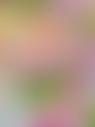 Turning My Largest Painting into a Limited Edition Giclée Print