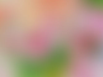 Turning My Largest Painting into a Limited Edition Giclée Print