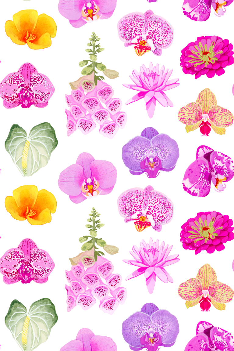 Returning to Bloom Collection