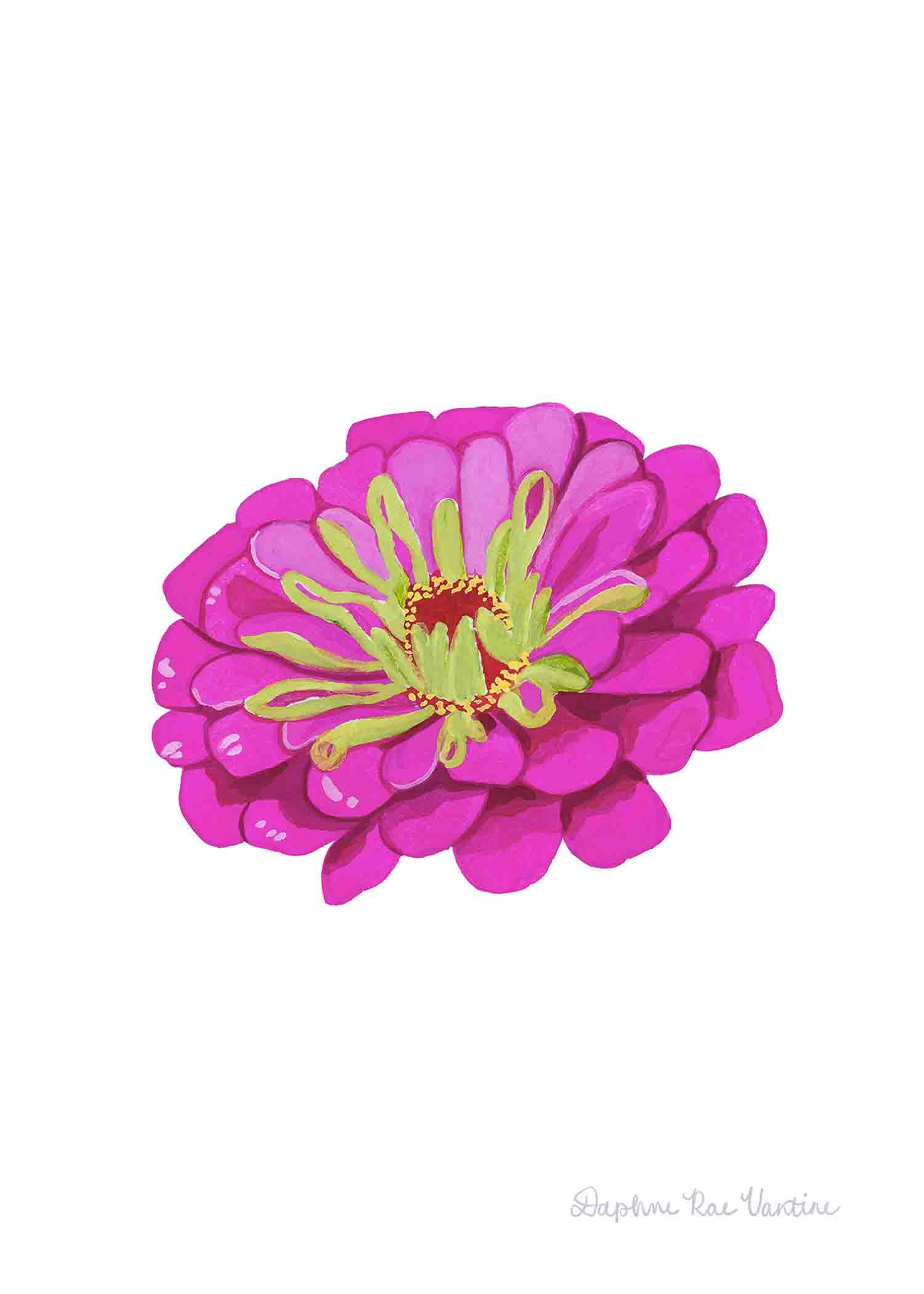 Zinnia Print
