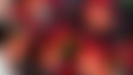 Top 5 Foods Women Should Prioritize Starting in Their 30s