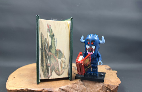 The Fall of The House of Usher Edgar Allan Poe custom fore