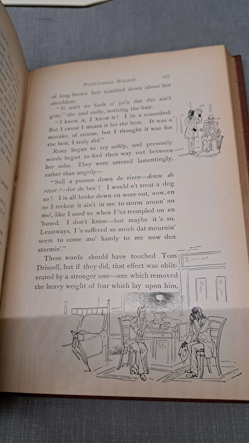 Thumbnail: Pudd'nhead Wilson Those Extraordinary Twins