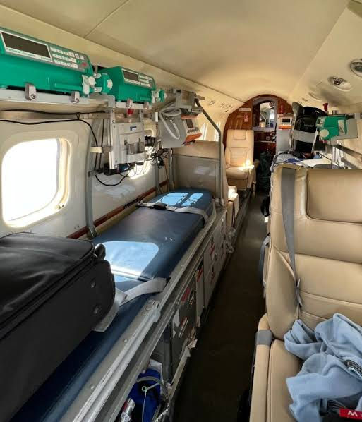ecmo.jpeg