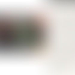 Don't Look in This Book - Distinctly Underwhelming