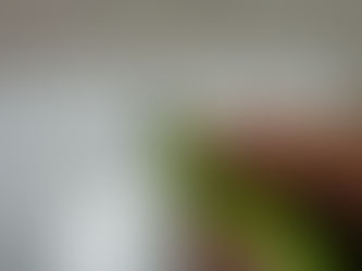 伊縫建築設計事務所様　トラス模型の製作　２