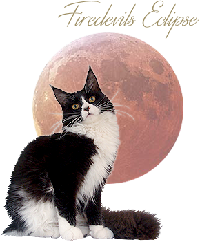 Firedevils Eclipse