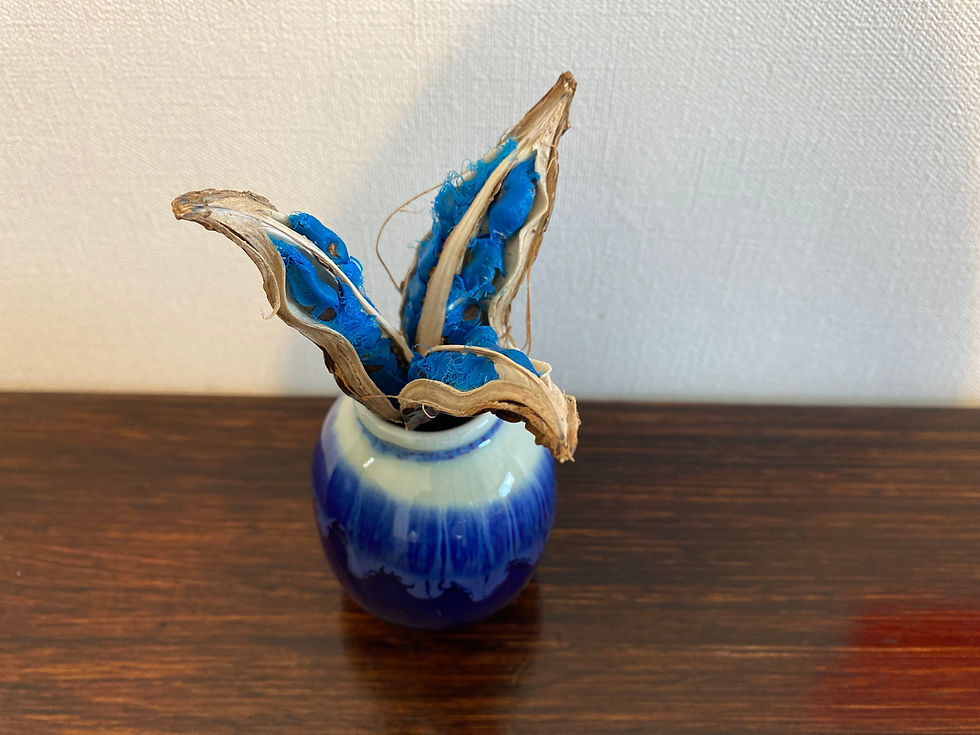 サムネイル： Sapphire Seascape: Stunning Blue Plant Discoveries