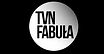 TVN fabuła.jpeg