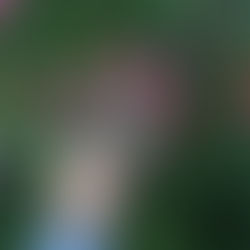 GREEN SMOOTHIE I AUTUMN ♡