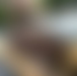 BANANA BREAD I VEGAN