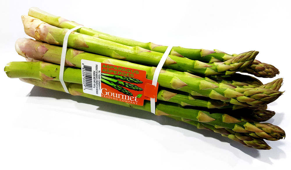 Asparagus Rubber Bands (TPU) | JCA
