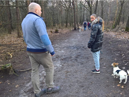 wandeling Het Leesten