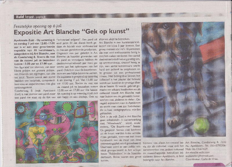 gek op kunst 2013 zuidkrant