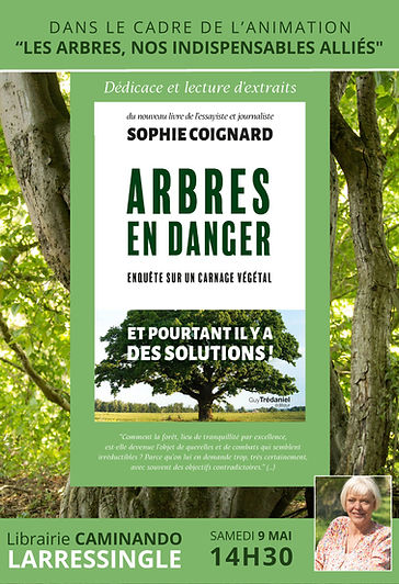 FINAL - SOPHIE COIGNARD (1).jpg