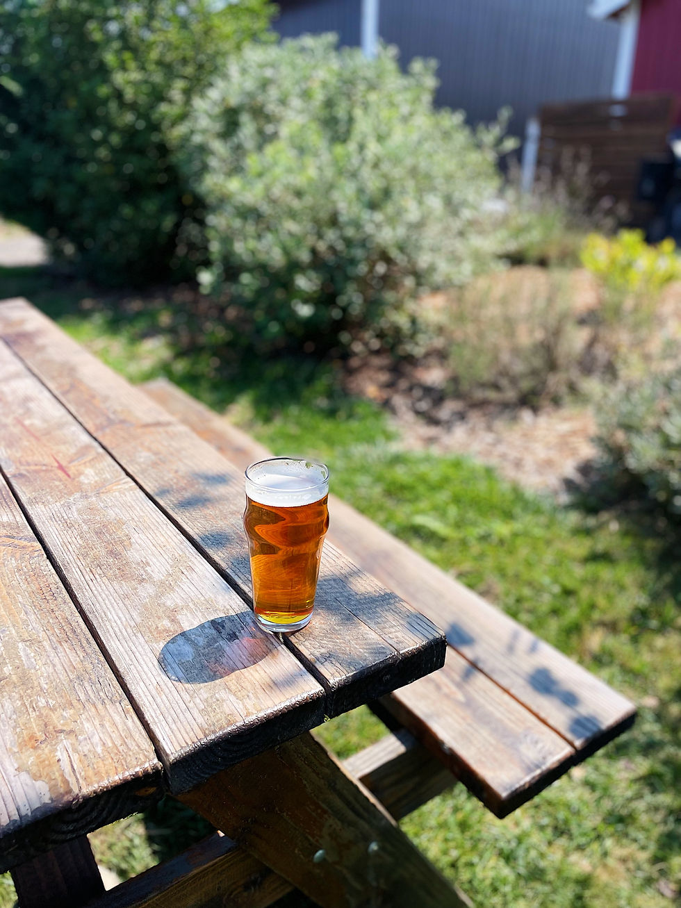 Friday Nights At The Farm | Pizza, Burgers, Beer