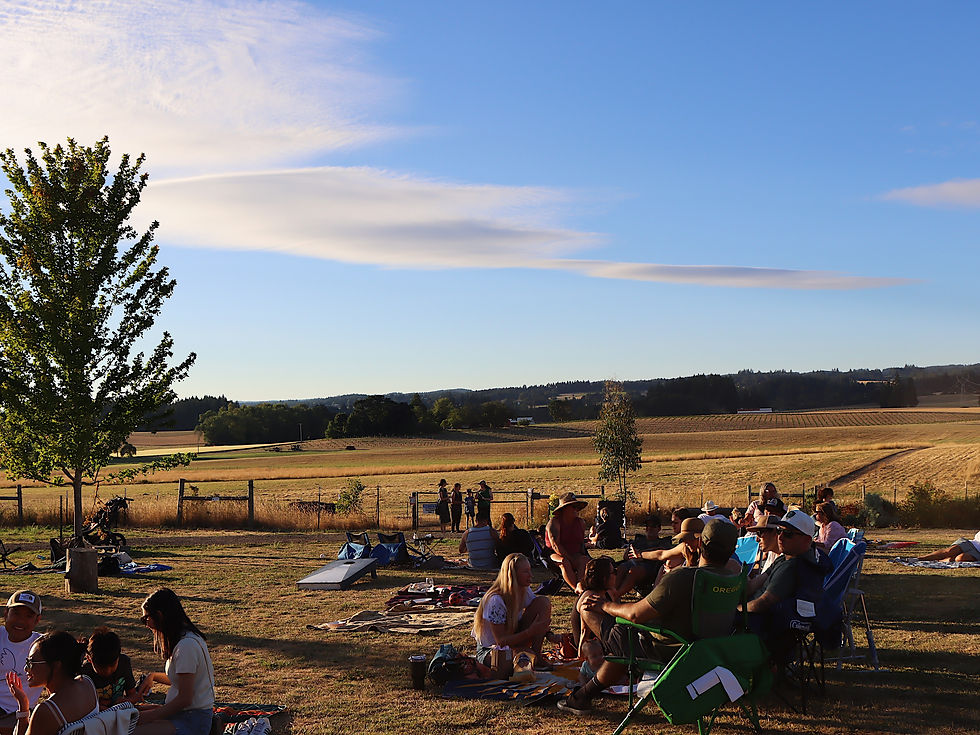 Friday Nights At The Farm | Peach Picnic