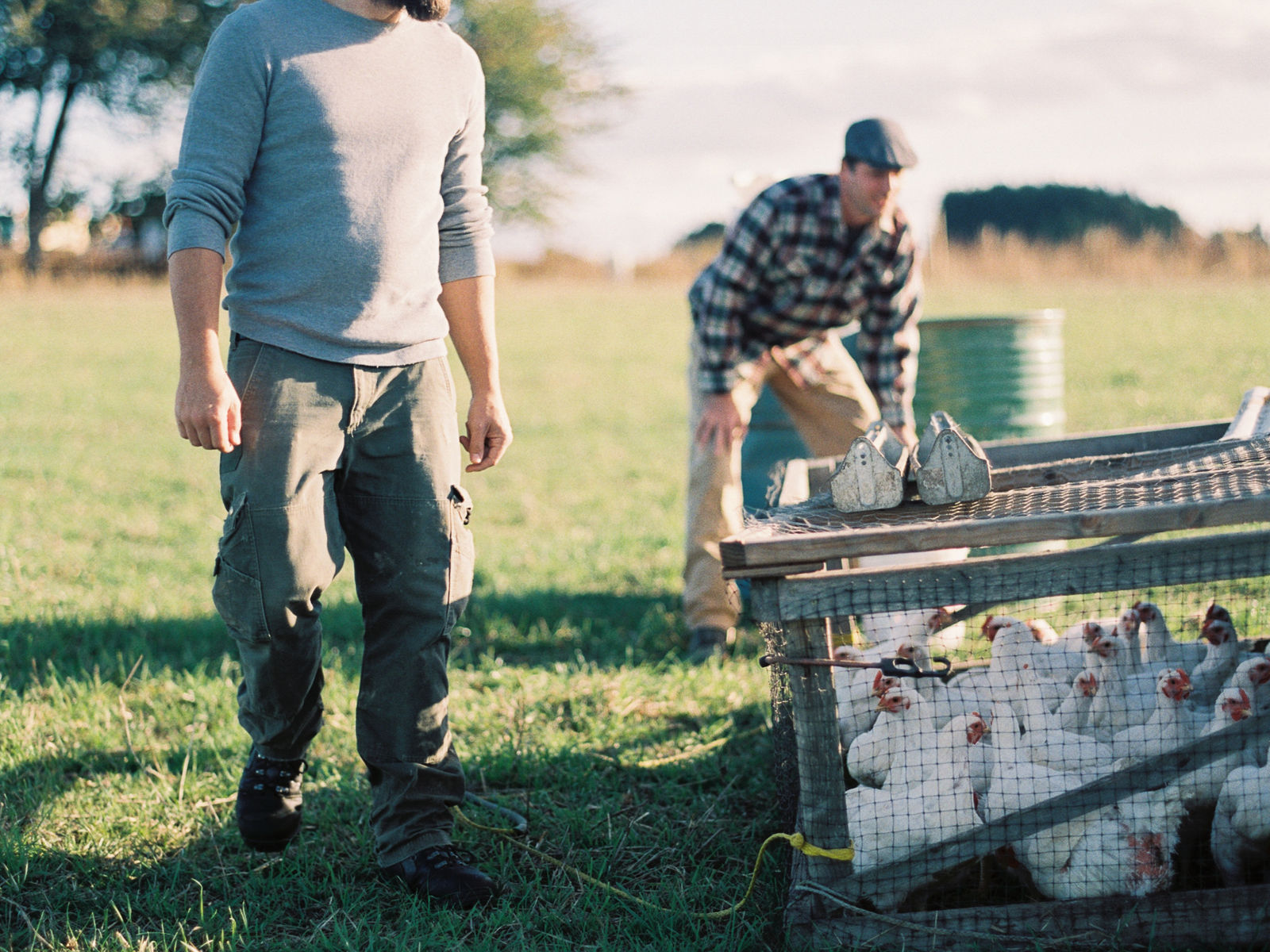 Helvetia Farm Market