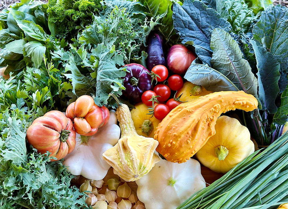 West Side Share Fair | CSA Event