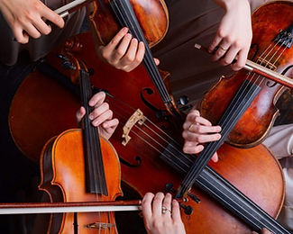 Bella Strings String Quartet