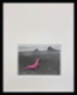 BG_chicks_Wyeth w border