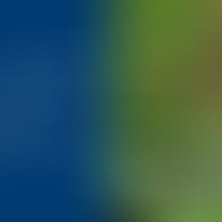 Insect-based solutions for food, feed and waste