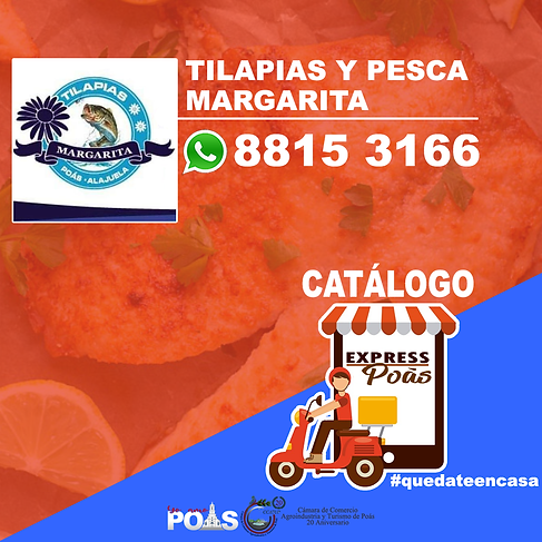 EmpresasCatÃ¡logoExpress.png