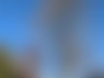 December 2024: American Basswood