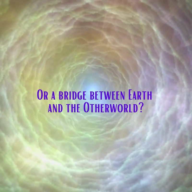 Thumbnail: Wild Open Faces: Book 2 in the Wild and Ruin Trilogy