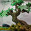 Thumbnail: Bonsai Calendar Tree