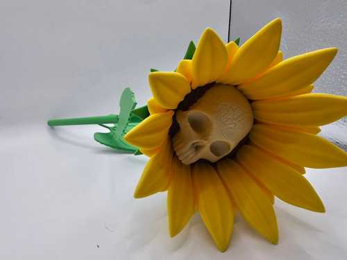 The Forbidden Sunflower | 3D Hero