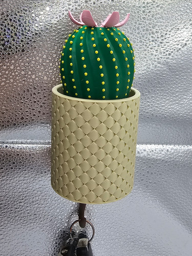 3d Printed Cactus Key Holder Blooming Cactus Key Holder 3D Hero