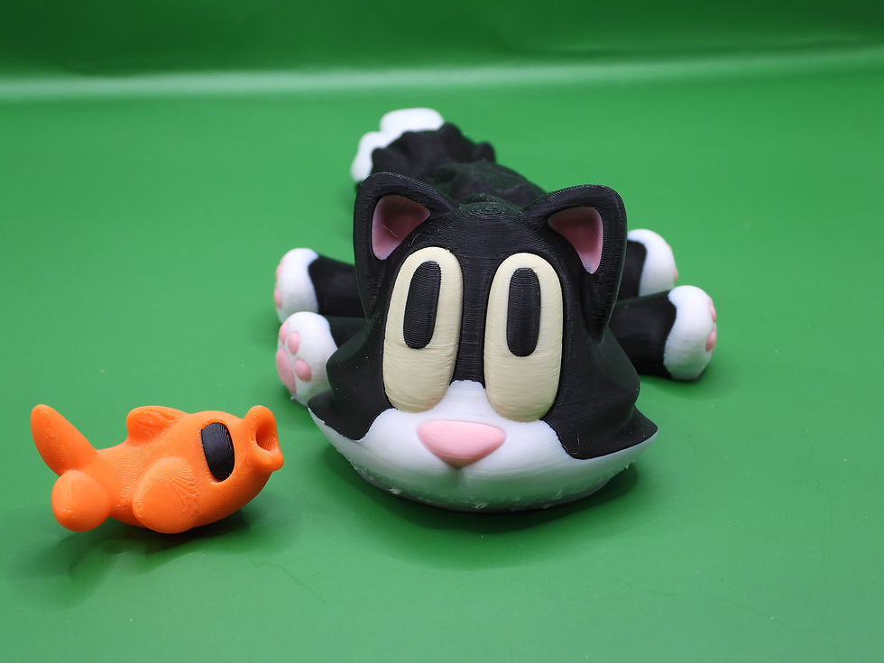 Thumbnail: “Curiosity” the Cat