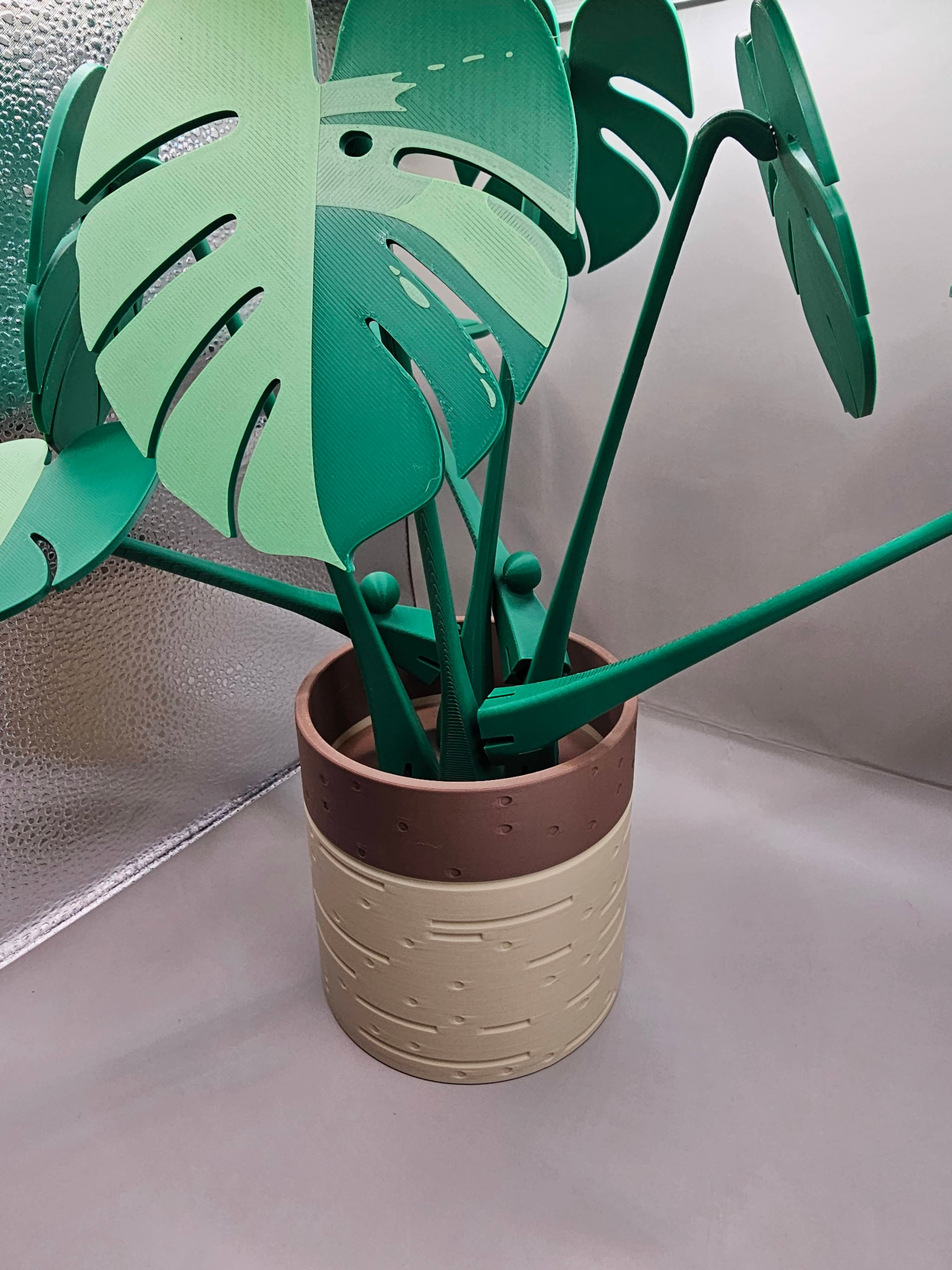 Monstera Plant Coaster Set