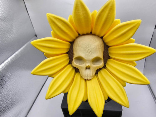 The Forbidden Sunflower | 3D Hero
