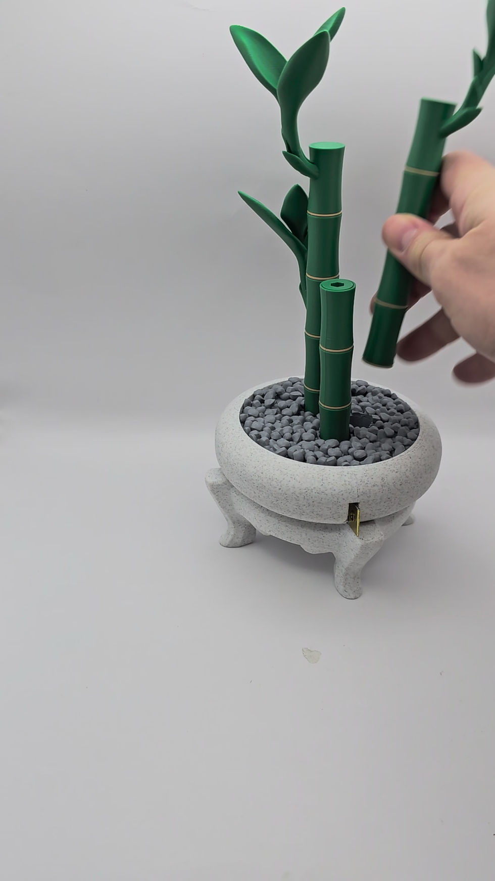 Thumbnail: Bamboo Buddy: The Ultimate Aesthetic Tool Kit