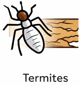 ChatGPT Image Feb 2, 2026, 01_07_03 PM_edited.jpg